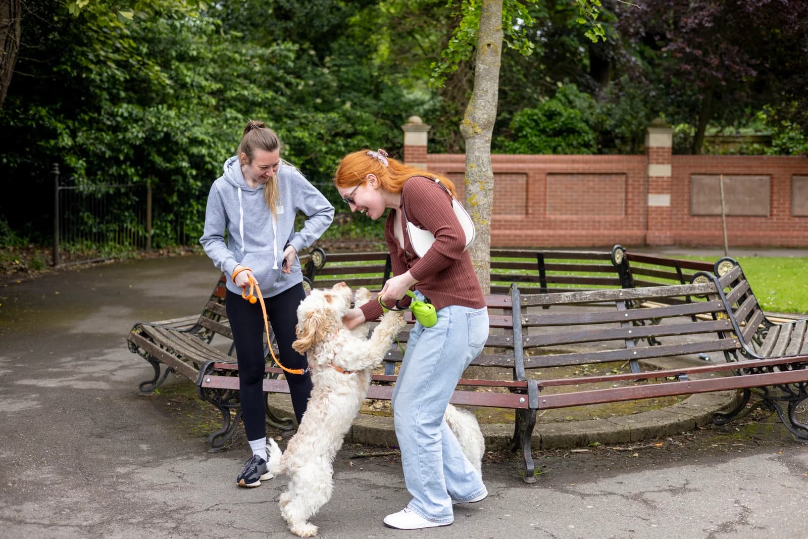 Person relaxing with a friendly dog for companionship